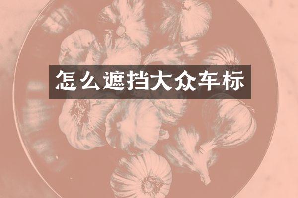 怎么遮挡大众车标