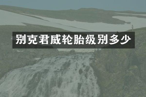 别克君威轮胎级别多少
