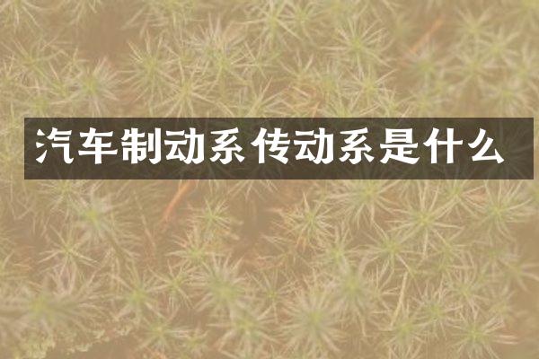 汽车制动系传动系是什么