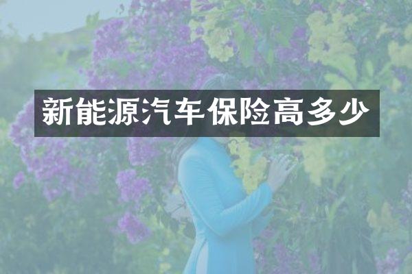 新能源汽车保险高多少