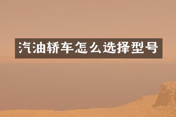 汽油轿车怎么选择型号