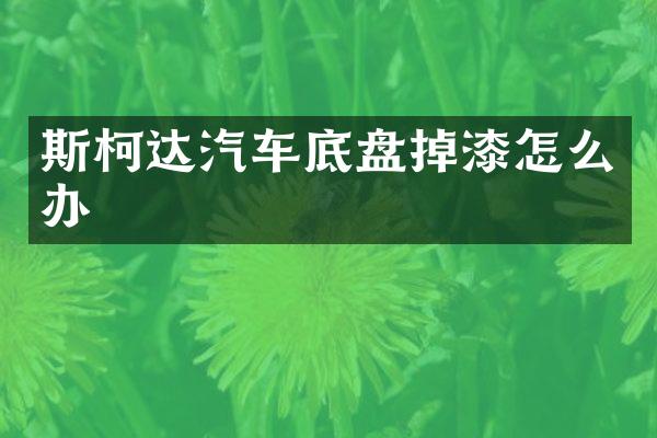 斯柯达汽车底盘掉漆怎么办