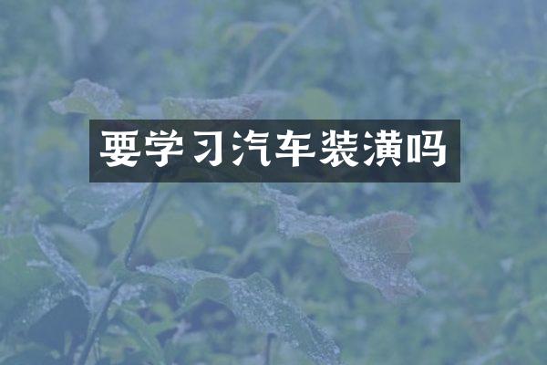 要学习汽车装潢吗