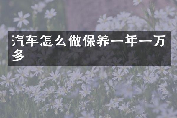汽车怎么做保养一年一万多