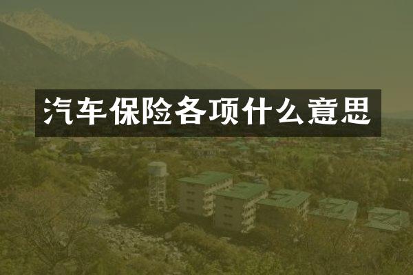 汽车保险各项什么意思