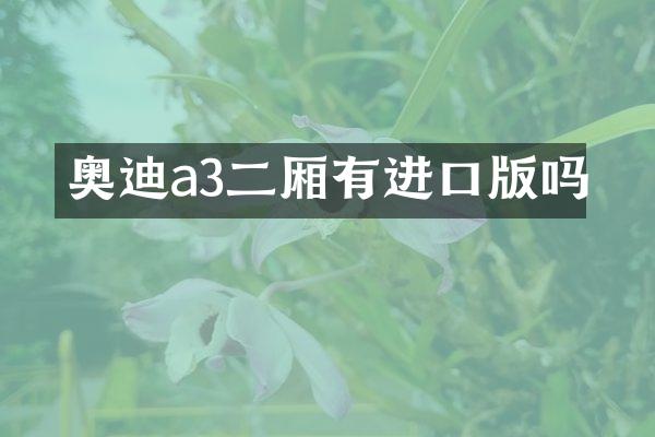 奥迪a3二厢有进口版吗
