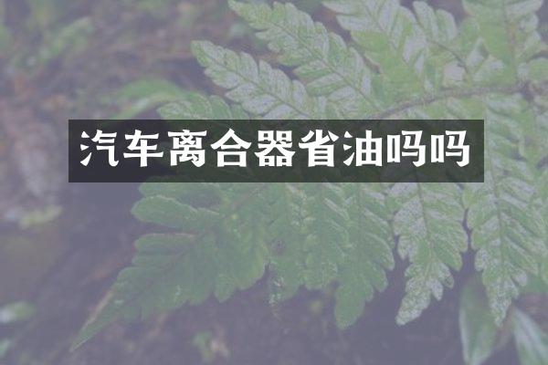 汽车离合器省油吗吗