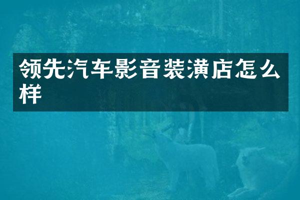 领先汽车影音装潢店怎么样