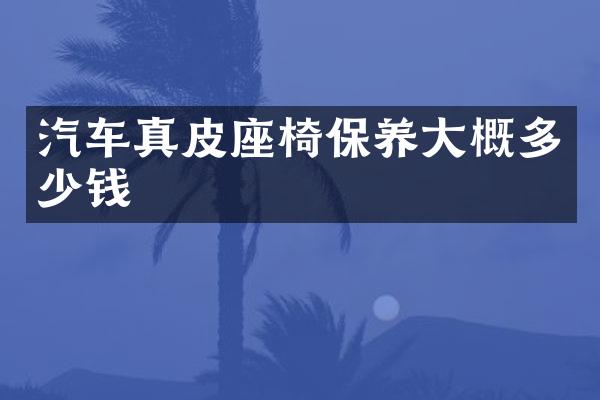 汽车真皮座椅保养大概多少钱