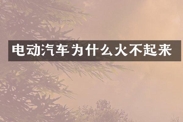 电动汽车为什么火不起来