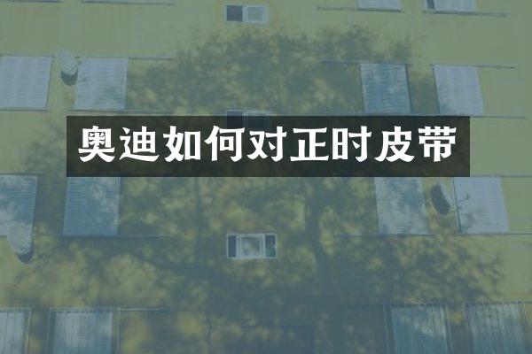 奥迪如何对正时皮带