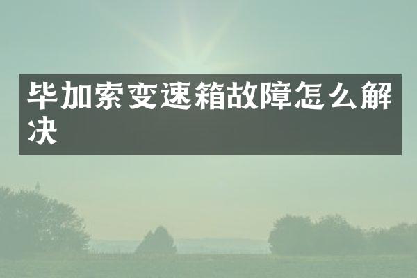 毕加索变速箱故障怎么解决