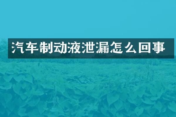 汽车制动液泄漏怎么回事