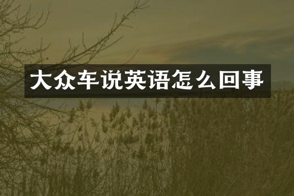 大众车说英语怎么回事