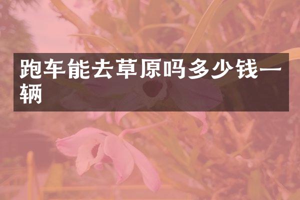 跑车能去草原吗多少钱一辆