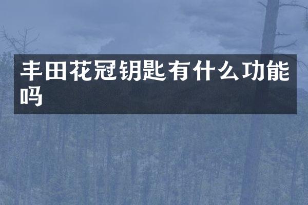 丰田花冠钥匙有什么功能吗