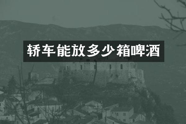 轿车能放多少箱啤酒
