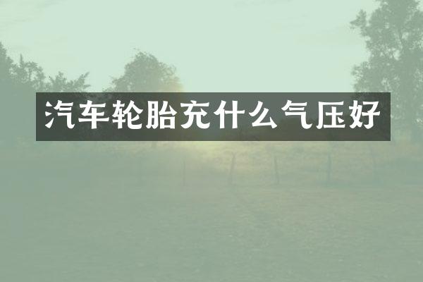 汽车轮胎充什么气压好