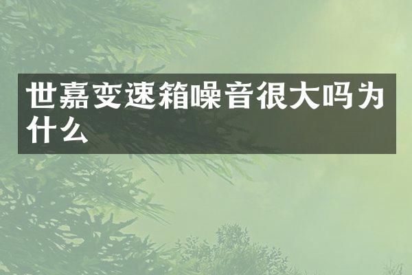 世嘉变速箱噪音很大吗为什么