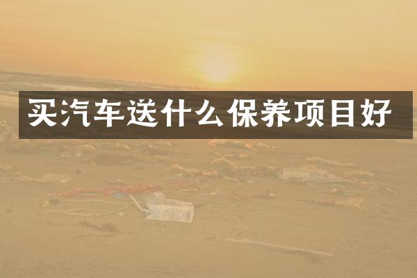 买汽车送什么保养项目好