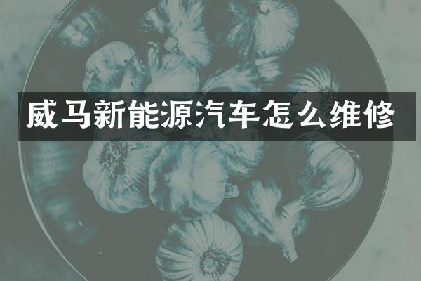 威马新能源汽车怎么维修