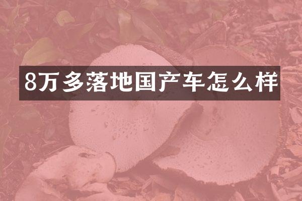 8万多落地国产车怎么样