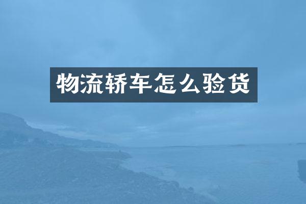 物流轿车怎么验货