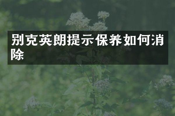 别克英朗提示保养如何消除
