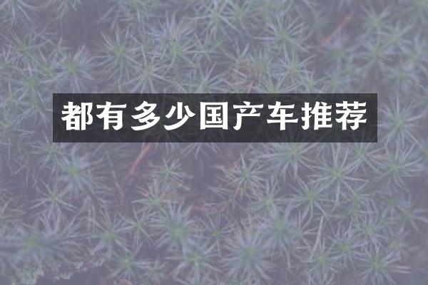 都有多少国产车推荐