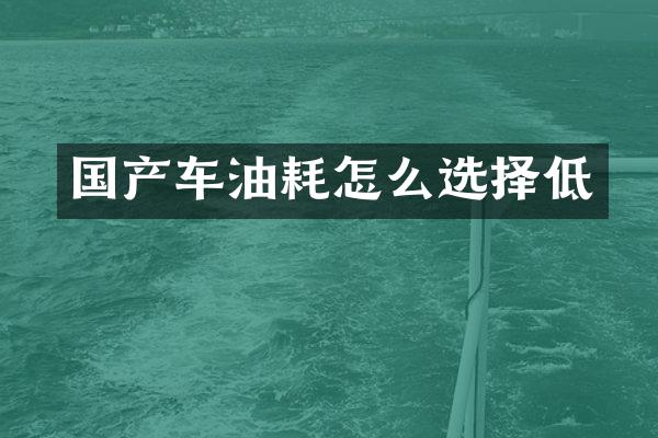 国产车油耗怎么选择低