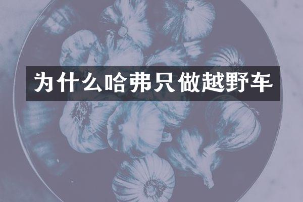 为什么哈弗只做越野车