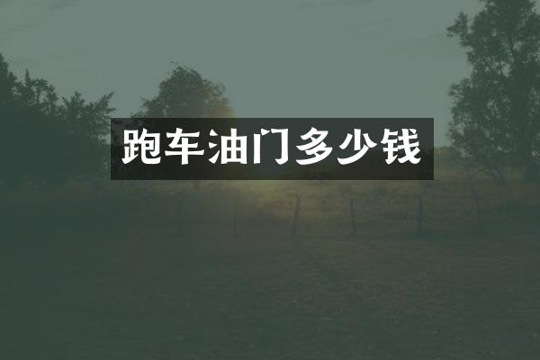跑车油门多少钱