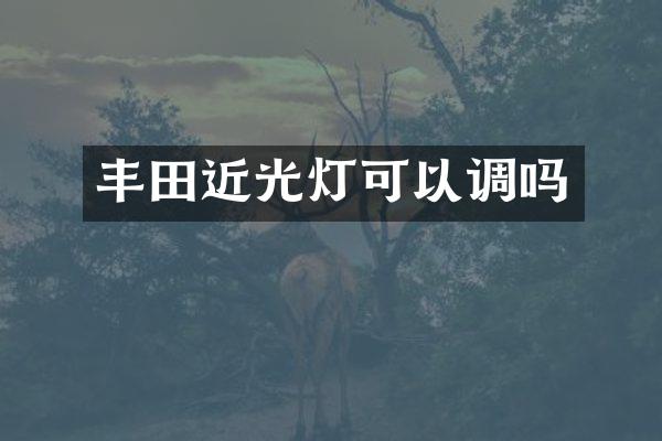 丰田近光灯可以调吗