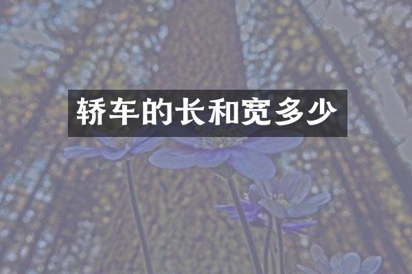 轿车的长和宽多少