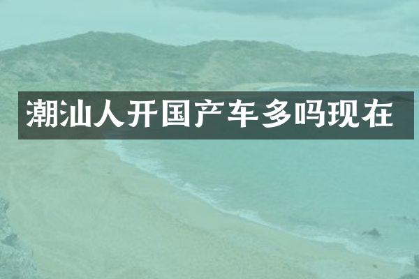 潮汕人开国产车多吗现在