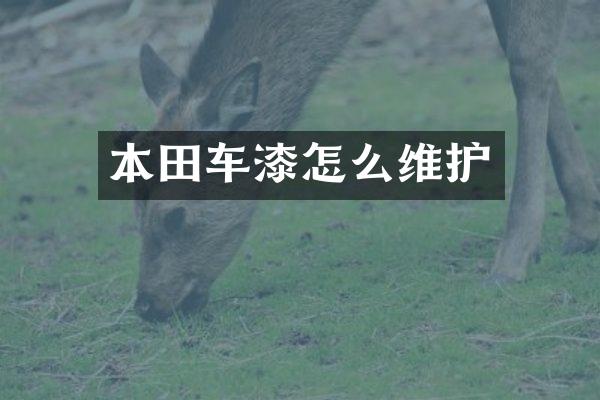 本田车漆怎么维护