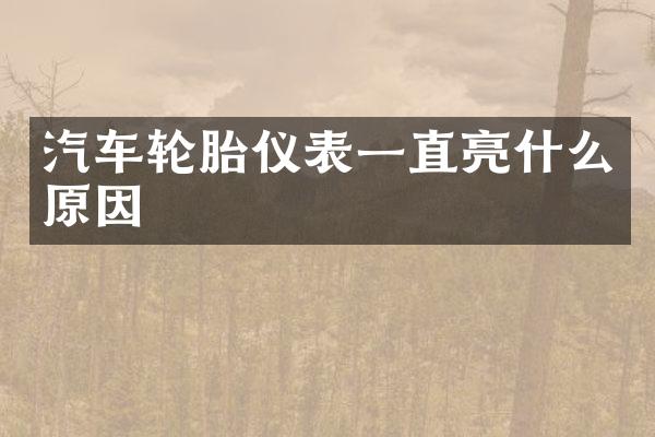 汽车轮胎仪表一直亮什么原因