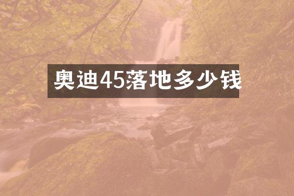 奥迪45落地多少钱