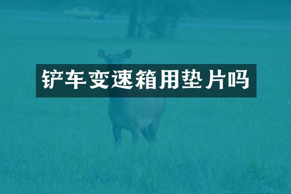 铲车变速箱用垫片吗