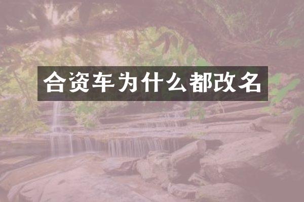 合资车为什么都改名