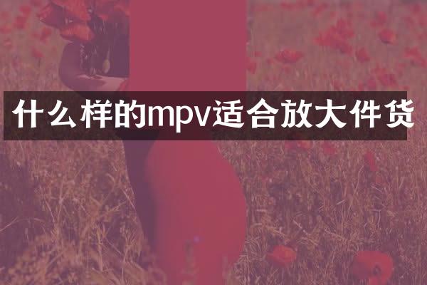 什么样的mpv适合放大件货