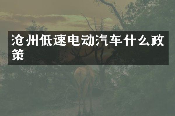 沧州低速电动汽车什么政策