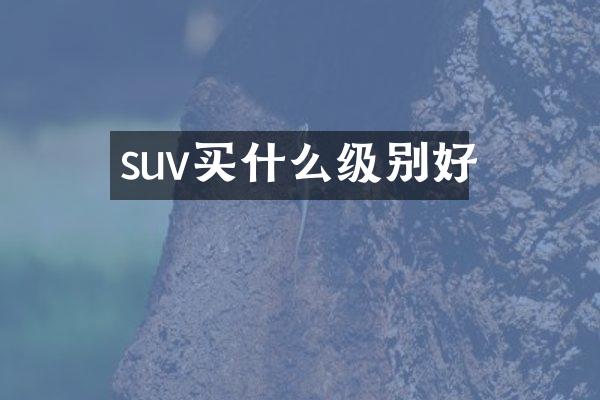 suv级别好
