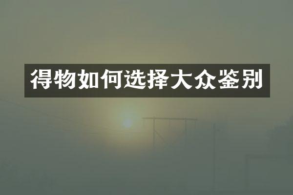 得物如何选择大众鉴别