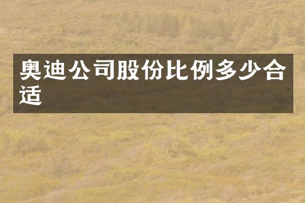 奥迪公司股份比例多少合适