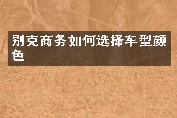 别克商务如何选择车型颜色