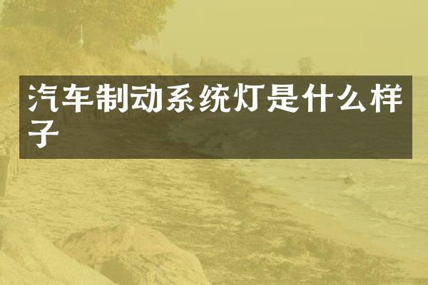 汽车制动系统灯是什么样子