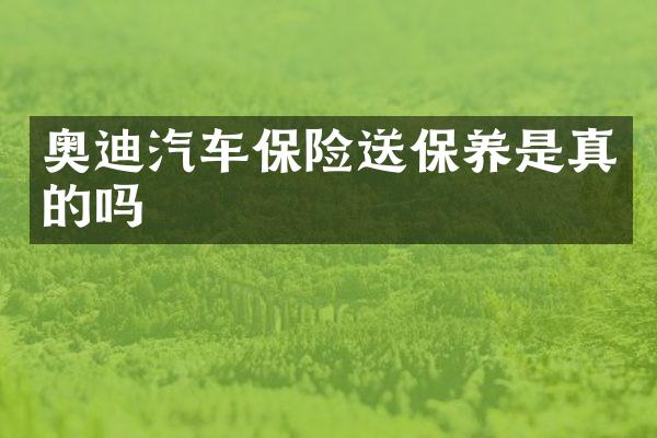 奥迪汽车保险送保养是真的吗