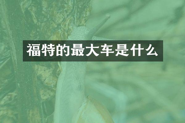 福特的最大车是什么