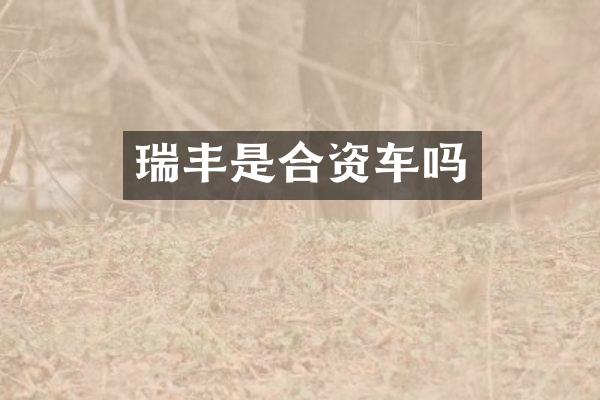 瑞丰是合资车吗